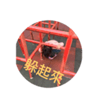 preserved egg is coming（個別スタンプ：9）