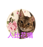 Logo meow（個別スタンプ：6）