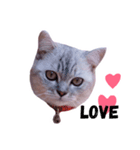 My babe Cat（個別スタンプ：1）