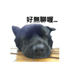 My Dog Say(1)（個別スタンプ：2）