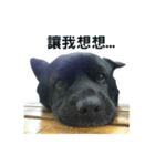 My Dog Say(1)（個別スタンプ：3）