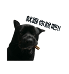 My Dog Say(1)（個別スタンプ：4）