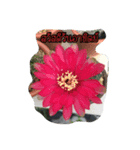 AuntCactus Vol.1（個別スタンプ：1）