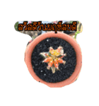 AuntCactus Vol.1（個別スタンプ：5）