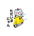 小浜市公認さばトラななちゃんオリジナル（個別スタンプ：5）