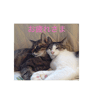 みー＆りく（個別スタンプ：1）