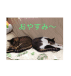 みー＆りく（個別スタンプ：2）