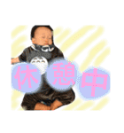 とうますたんぷぷぷぷ（個別スタンプ：35）
