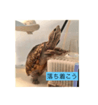 ミシニのmito（個別スタンプ：5）