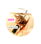 ミシニのmito（個別スタンプ：8）