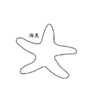 seastars（個別スタンプ：1）