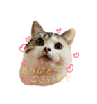うちのむう2（個別スタンプ：6）