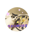 うちのむう2（個別スタンプ：7）