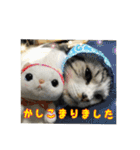 うちのむう2（個別スタンプ：10）