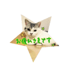 うちのむう2（個別スタンプ：12）