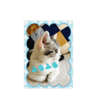 うちのむう2（個別スタンプ：22）