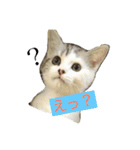 うちのむう2（個別スタンプ：27）