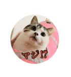 うちのむう2（個別スタンプ：32）