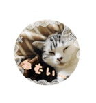うちのむう2（個別スタンプ：39）
