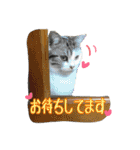 うちのむう2（個別スタンプ：40）