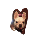 MooChaboo（個別スタンプ：8）