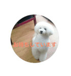 看板犬六花（個別スタンプ：6）