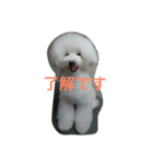 看板犬六花（個別スタンプ：9）