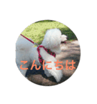 看板犬六花（個別スタンプ：11）