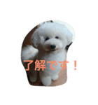 看板犬六花（個別スタンプ：18）