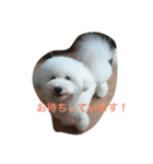 看板犬六花（個別スタンプ：19）