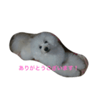 看板犬六花（個別スタンプ：23）