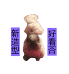 Mochi the rabbit（個別スタンプ：5）