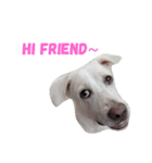 My name's Jued（個別スタンプ：1）