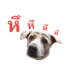 My name's Jued（個別スタンプ：12）