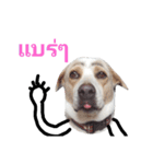 My name's Jued（個別スタンプ：13）