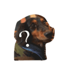 鈴木家 愛犬ココア（個別スタンプ：5）