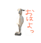 らぶらぶらぶ98！（個別スタンプ：1）
