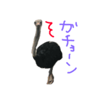 らぶらぶらぶ98！（個別スタンプ：3）