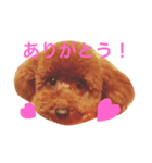 Hana's  Stamp（個別スタンプ：2）