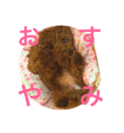 Hana's  Stamp（個別スタンプ：4）