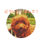 Hana's  Stamp（個別スタンプ：6）