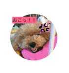 らぶりーきなこちゃん（個別スタンプ：2）