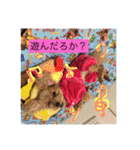 らぶりーきなこちゃん（個別スタンプ：5）