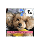 らぶりーきなこちゃん（個別スタンプ：7）