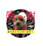 らぶりーきなこちゃん（個別スタンプ：8）