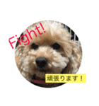 らぶりーきなこちゃん（個別スタンプ：19）