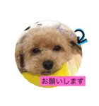 らぶりーきなこちゃん（個別スタンプ：22）