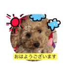 らぶりーきなこちゃん（個別スタンプ：25）