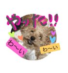 らぶりーきなこちゃん（個別スタンプ：32）