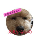 らぶりーきなこちゃん（個別スタンプ：38）